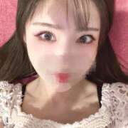 ヒメ日記 2025/09/18 12:03 投稿 ほたる 男爵