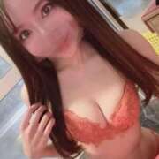 ヒメ日記 2025/12/04 11:40 投稿 ほたる 男爵