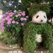 ヒメ日記 2025/06/07 04:22 投稿 ほのか ニューヨークニューヨーク