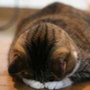 ヒメ日記 2025/06/09 21:17 投稿 まい マリン宮殿雄琴店