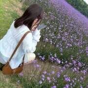 ヒメ日記 2025/08/13 12:34 投稿 なぎ マリン宮殿水戸店