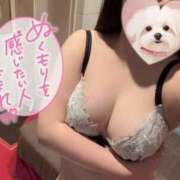 ヒメ日記 2025/11/20 21:34 投稿 なぎ マリン宮殿水戸店