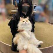 ヒメ日記 2025/06/13 22:46 投稿 りつか マリン宇都宮店