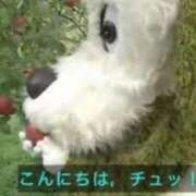 ヒメ日記 2025/08/17 07:26 投稿 りつか マリン宇都宮店