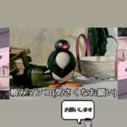 ヒメ日記 2025/08/23 07:16 投稿 りつか マリン宇都宮店