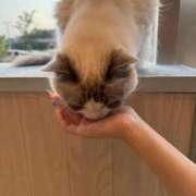 ヒメ日記 2025/09/08 22:46 投稿 りつか マリン宇都宮店