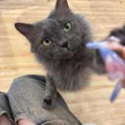 ヒメ日記 2025/09/11 07:56 投稿 りつか マリン宇都宮店