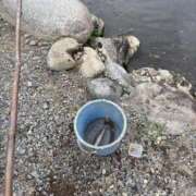 ヒメ日記 2025/09/22 14:48 投稿 りつか マリン宇都宮店