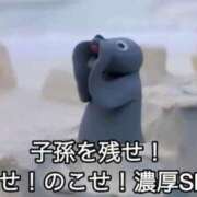 ヒメ日記 2025/10/03 08:32 投稿 りつか マリン宇都宮店