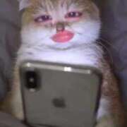 ヒメ日記 2025/10/14 06:56 投稿 りつか マリン宇都宮店