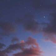 ヒメ日記 2025/11/09 14:26 投稿 りつか マリン宇都宮店