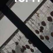 ヒメ日記 2025/11/16 16:46 投稿 りつか マリン宇都宮店