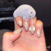 ヒメ日記 2025/11/26 15:56 投稿 りつか マリン宇都宮店