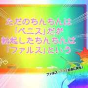 ヒメ日記 2025/12/11 08:46 投稿 りつか マリン宇都宮店
