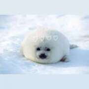 ヒメ日記 2025/12/16 06:56 投稿 りつか マリン宇都宮店