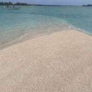 ヒメ日記 2026/03/08 16:57 投稿 HIBIKI 南国ラブストーリー宮古島