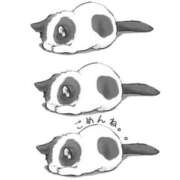 ヒメ日記 2025/05/26 08:02 投稿 翠（みどり） ビッグバード