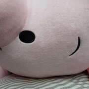 ヒメ日記 2025/07/27 09:24 投稿 翠（みどり） ビッグバード