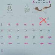 ヒメ日記 2025/08/01 07:31 投稿 翠（みどり） ビッグバード