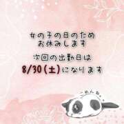 ヒメ日記 2025/08/24 14:24 投稿 翠（みどり） ビッグバード