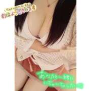 ヒメ日記 2025/09/27 08:24 投稿 翠（みどり） ビッグバード