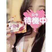 ヒメ日記 2025/10/10 08:34 投稿 翠（みどり） ビッグバード