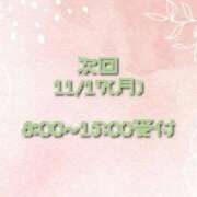 ヒメ日記 2025/11/10 07:34 投稿 翠（みどり） ビッグバード