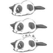 翠（みどり） ⚠️お知らせ⚠️ ビッグバード