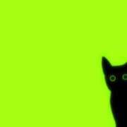 ヒメ日記 2026/02/25 07:24 投稿 翠（みどり） ビッグバード