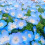 ヒメ日記 2026/05/14 19:14 投稿 翠（みどり） ビッグバード