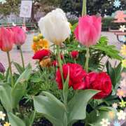 ヒメ日記 2025/05/24 10:09 投稿 定岡 おふくろ