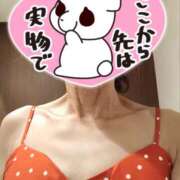 ヒメ日記 2025/07/17 13:06 投稿 定岡 おふくろ