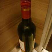 ヒメ日記 2025/07/11 12:04 投稿 しゅうか ぐらんまま