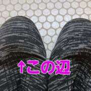 ヒメ日記 2025/08/11 08:31 投稿 しゅうか ぐらんまま