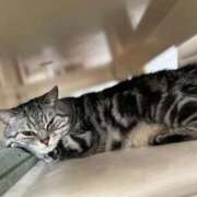 ヒメ日記 2025/05/16 16:55 投稿 向葵-ひまり【FG系列】 ほんとうの人妻　松戸店