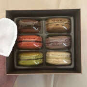 ヒメ日記 2025/09/19 17:15 投稿 りり マシュマロフロート