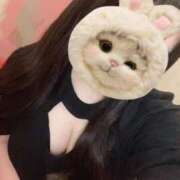 ヒメ日記 2026/02/25 14:00 投稿 あおい 新橋ラズベリードール