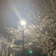 ヒメ日記 2026/03/30 11:45 投稿 あおい 新橋ラズベリードール