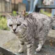 ヒメ日記 2025/05/21 14:17 投稿 初／うい 五反田アネージュ（ユメオト）