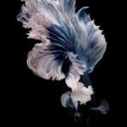 ヒメ日記 2025/06/03 13:51 投稿 初／うい 五反田アネージュ（ユメオト）