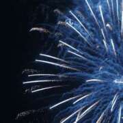 ヒメ日記 2025/06/18 05:12 投稿 初／うい 五反田アネージュ（ユメオト）