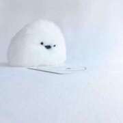 ヒメ日記 2025/06/21 15:32 投稿 初／うい 五反田アネージュ（ユメオト）