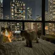 ヒメ日記 2025/06/25 16:41 投稿 初／うい 五反田アネージュ（ユメオト）