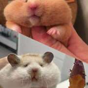 ヒメ日記 2025/08/08 15:03 投稿 初／うい 五反田アネージュ（ユメオト）