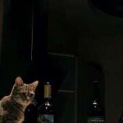 ヒメ日記 2025/08/23 20:03 投稿 初／うい 五反田アネージュ（ユメオト）