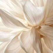 ヒメ日記 2025/09/09 14:59 投稿 初／うい 五反田アネージュ（ユメオト）