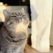 ヒメ日記 2025/09/19 12:22 投稿 初／うい 五反田アネージュ（ユメオト）