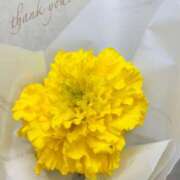 ヒメ日記 2025/11/02 16:34 投稿 初／うい 五反田アネージュ（ユメオト）