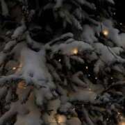 ヒメ日記 2025/11/16 23:34 投稿 初／うい 五反田アネージュ（ユメオト）