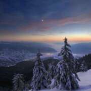 ヒメ日記 2025/12/13 18:37 投稿 初／うい 五反田アネージュ（ユメオト）